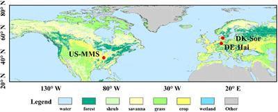 Improvement of transpiration estimation based on a two-leaf conductance-photosynthesis model with seasonal parameters for temperate deciduous forests